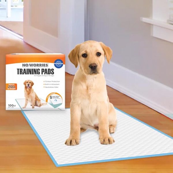 Four Paws No Worries Plastic Training Pads 100 pk For Cheap