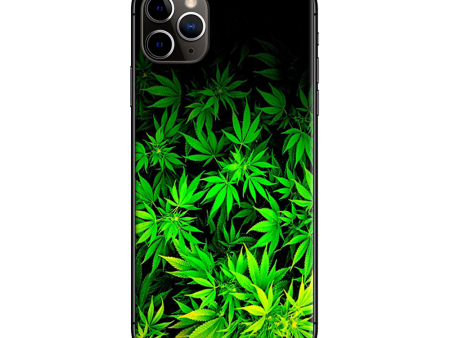 Weed Green Bud Marijuana Leaves | Skin For Apple iPhone 11 Pro Max Online now