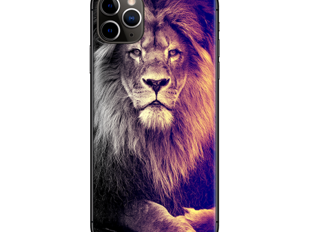 Proud Lion | Skin For Apple iPhone 11 Pro Max Fashion