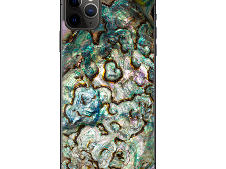 Abalone Shell Gold Underwater | Skin For Apple iPhone 11 Pro on Sale