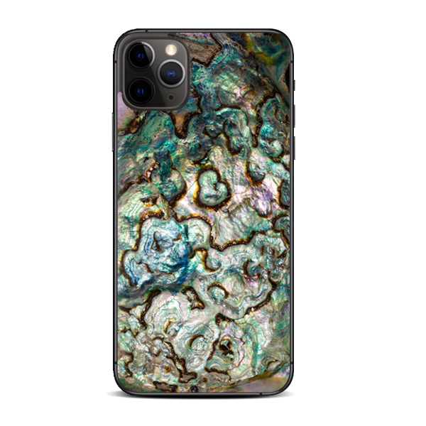 Abalone Shell Gold Underwater | Skin For Apple iPhone 11 Pro on Sale