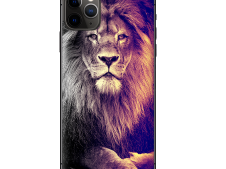 Proud Lion | Skin For Apple iPhone 11 Pro Online now