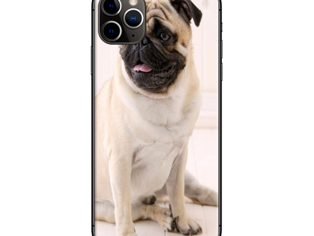 Pug Mug, Cute Pug | Skin For Apple iPhone 11 Pro Max Sale